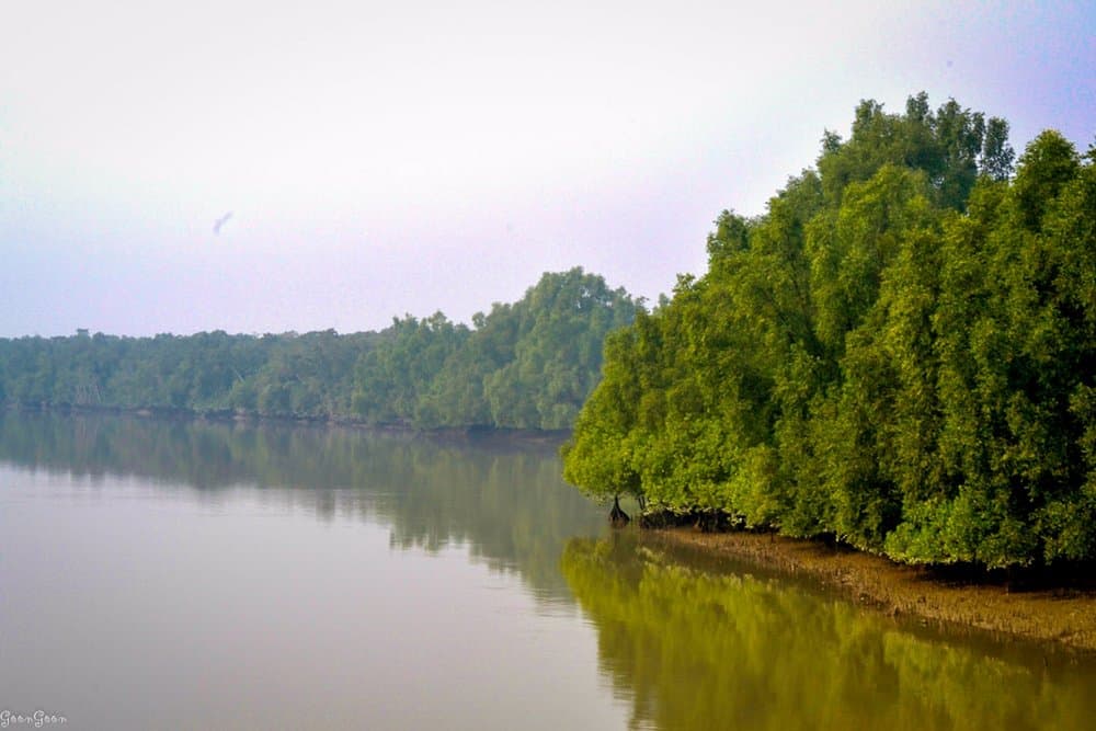 Image of Sun Way 2: Premium River Cruise from Khulna to Sundarbans blog post, Travel Tips, BookMe Travel Blog, Explore Destinations, Affordable Travel.