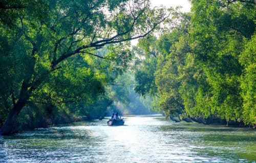 Image of Sun Way 2: Premium Sundarbans Cruise Adventure from Khulna blog post, Travel Tips, BookMe Travel Blog, Explore Destinations, Affordable Travel.