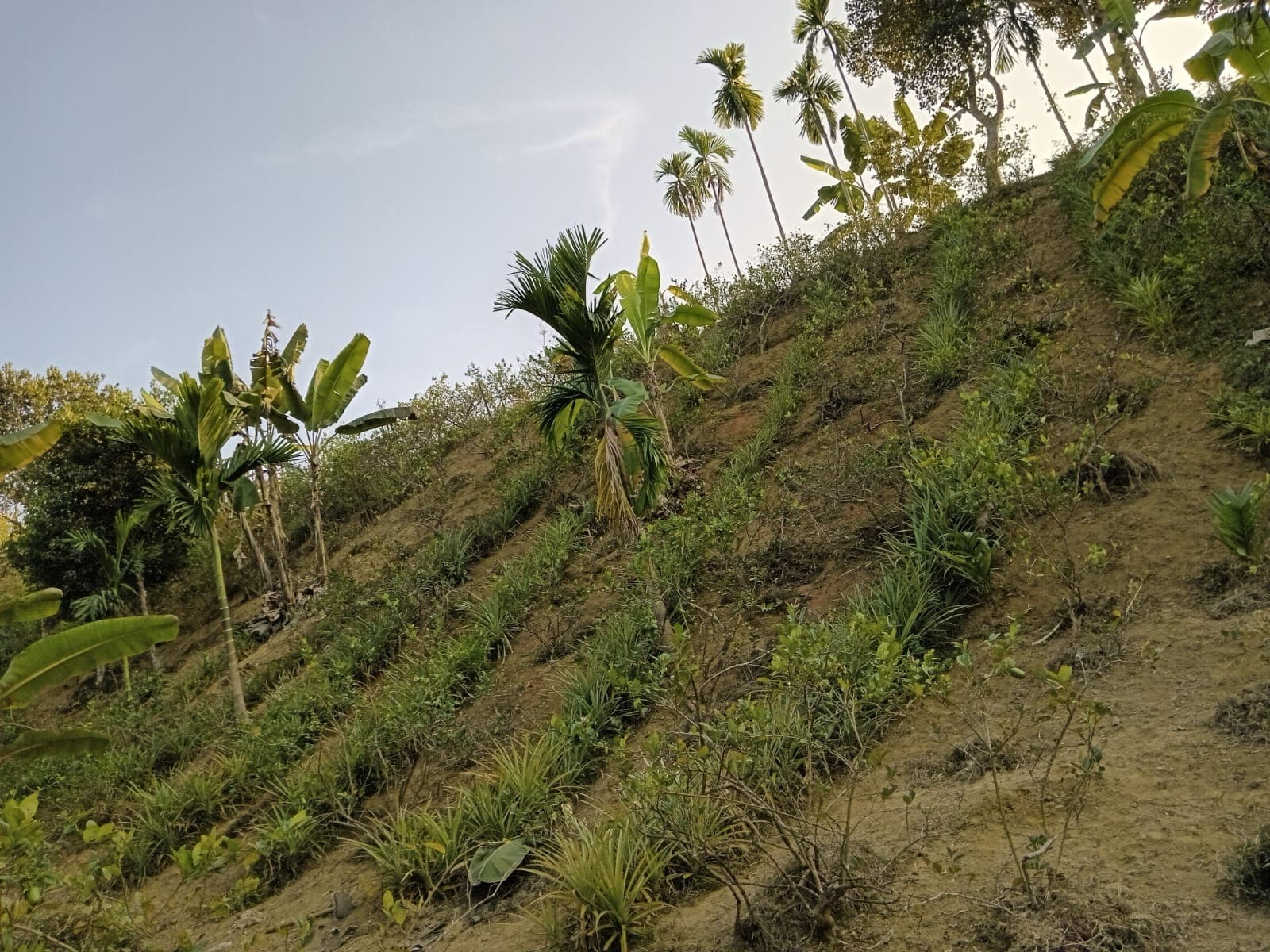 Hotel Image 6845