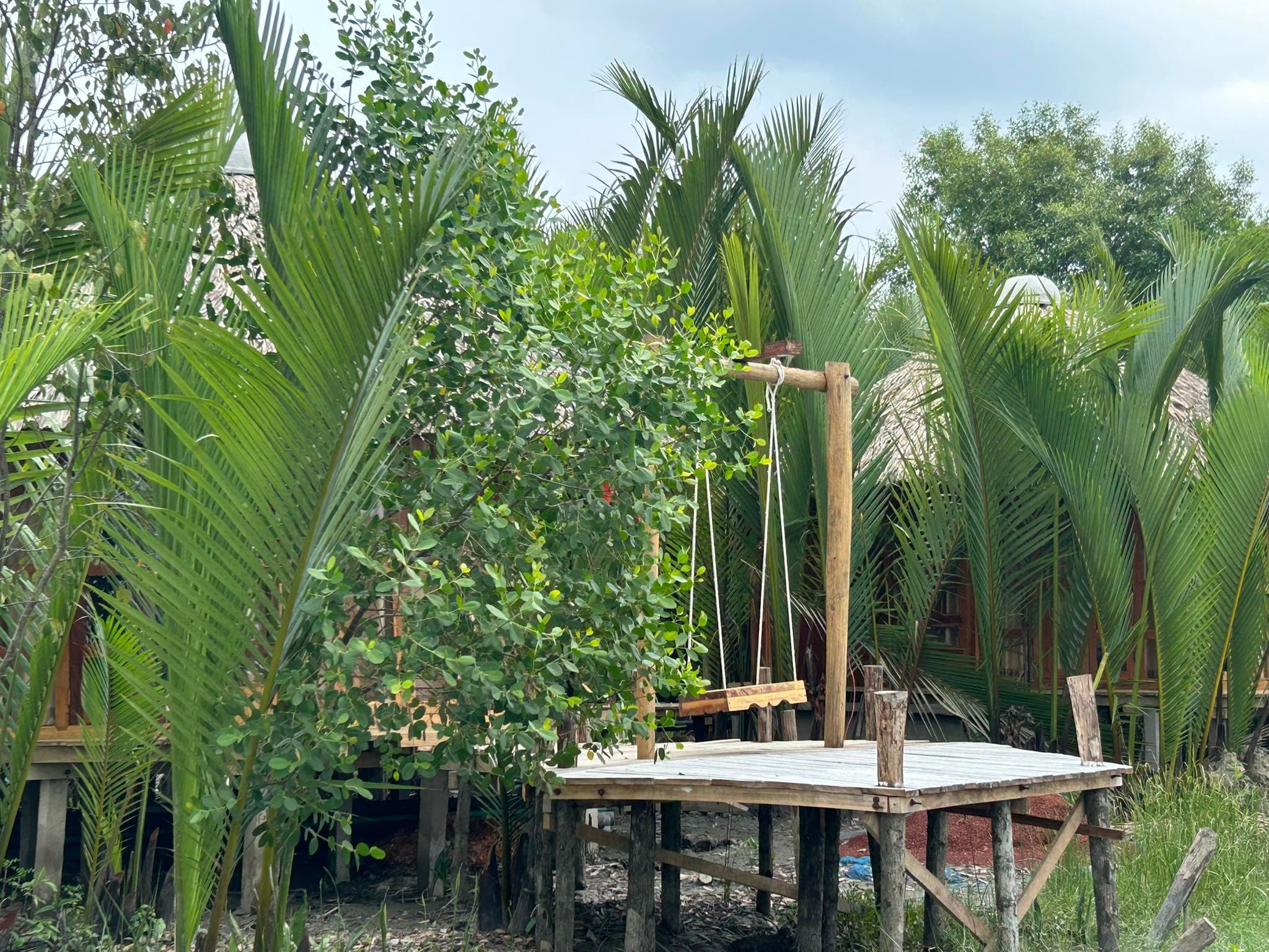 Hotel Image 7101