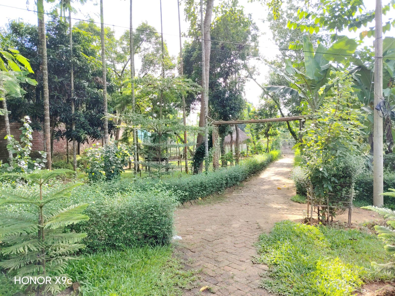 Hotel Image 6738