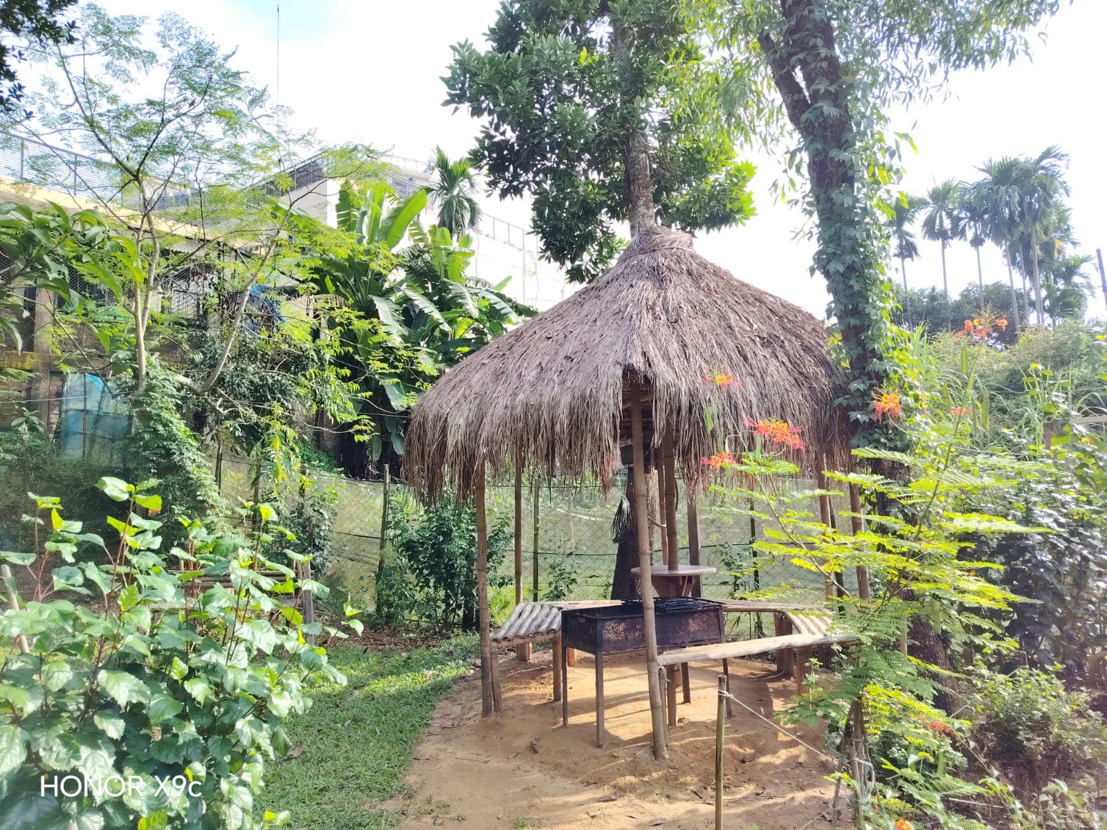 Hotel Image 6739