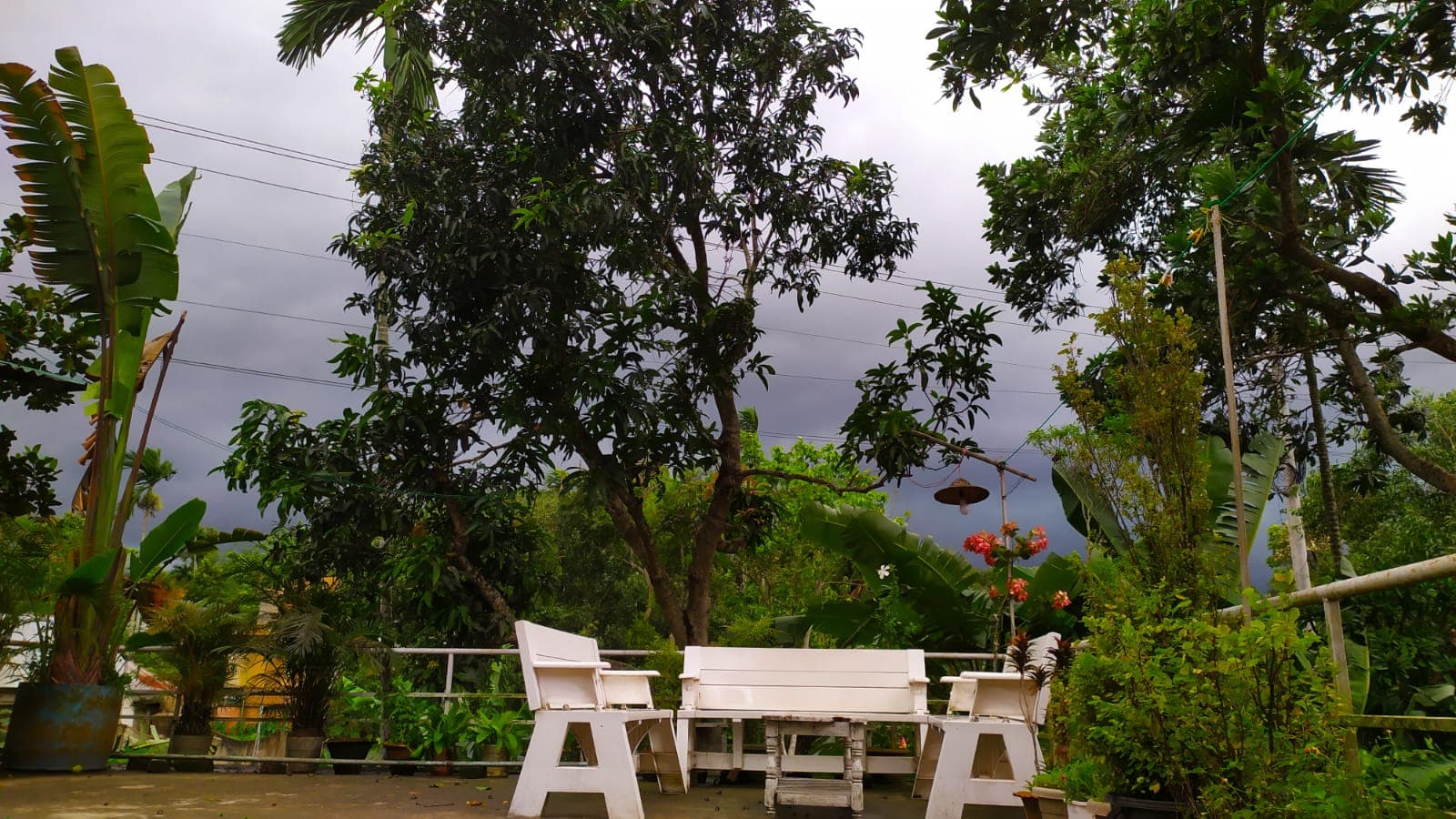 Hotel Image 7167
