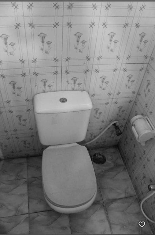 Hotel Image 7363