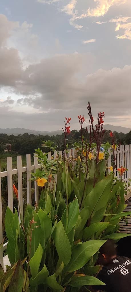 Hotel Image 6949