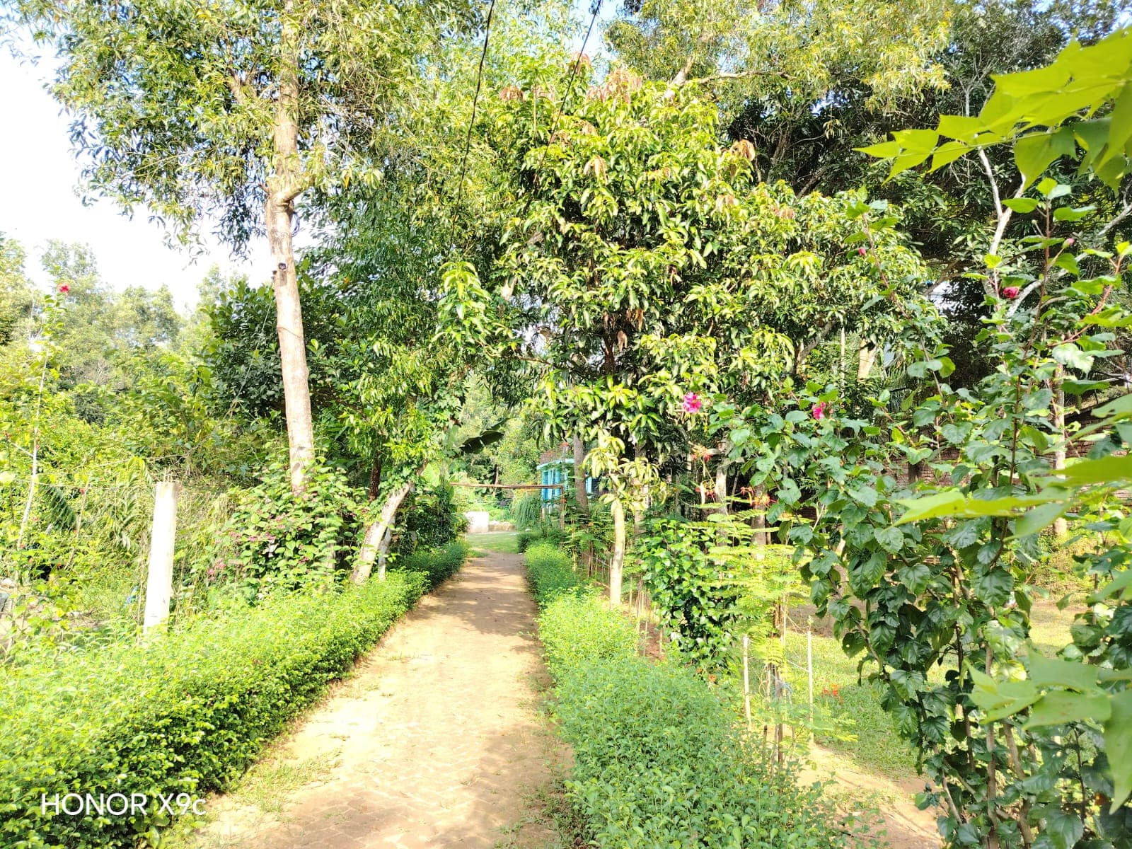 Hotel Image 6742