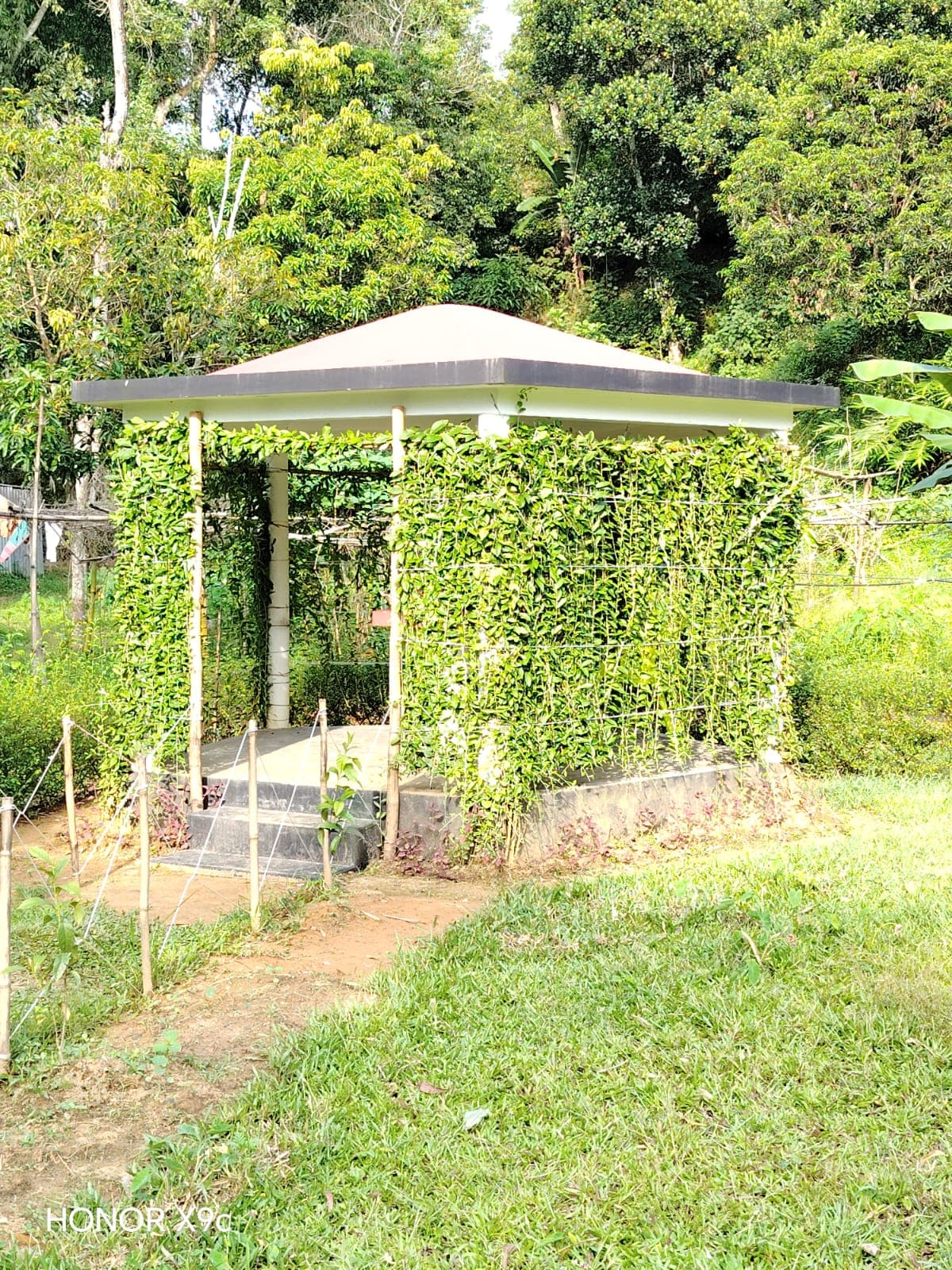 Hotel Image 6743