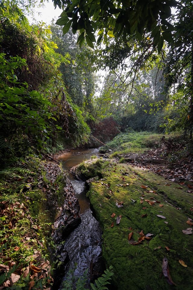 Hotel Image 7164