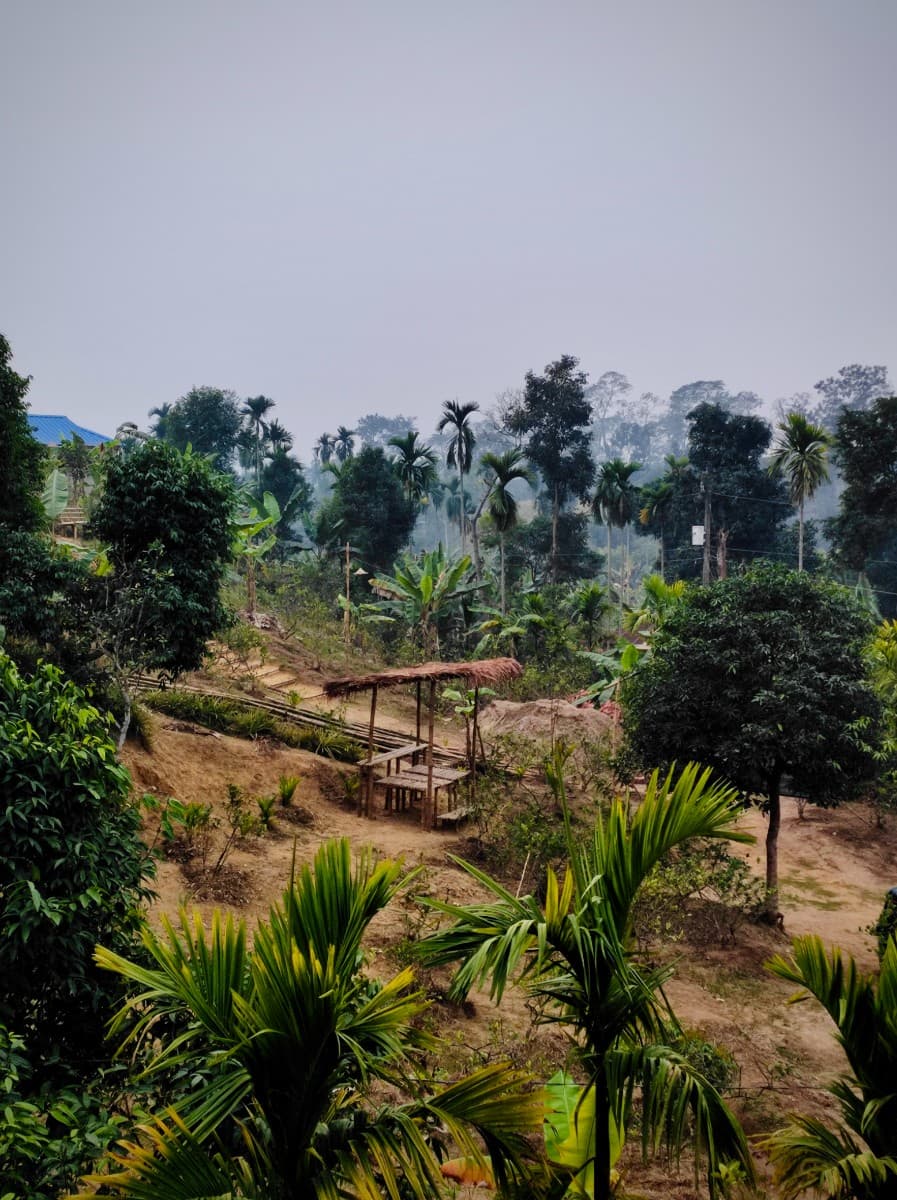 Hotel Image 6844