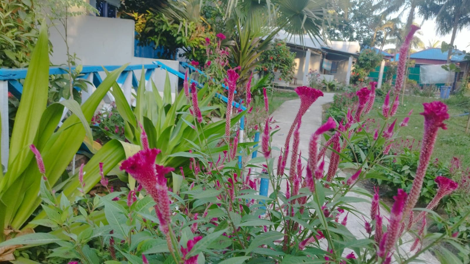 Hotel Image 6047