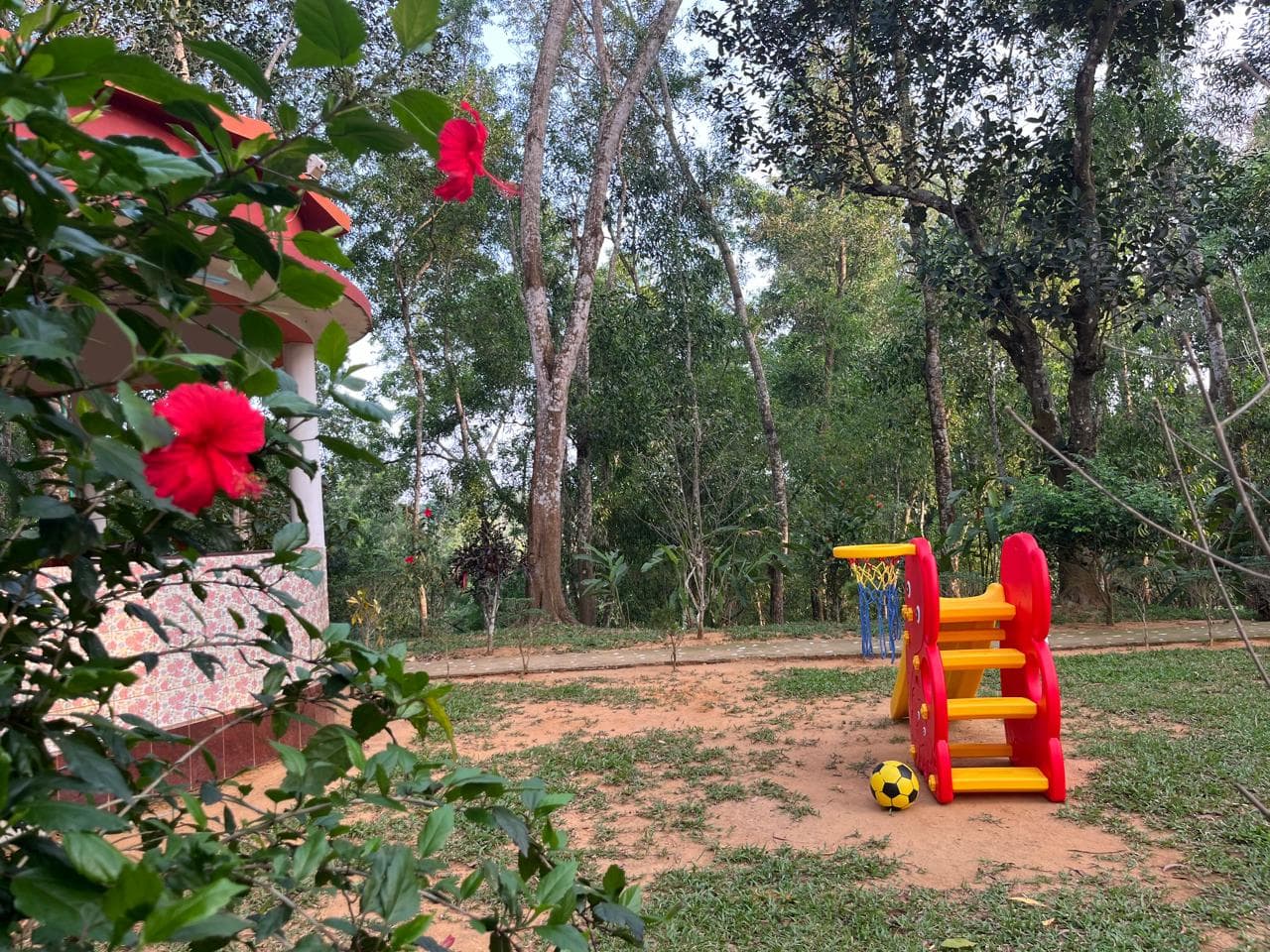Hotel Image 6936