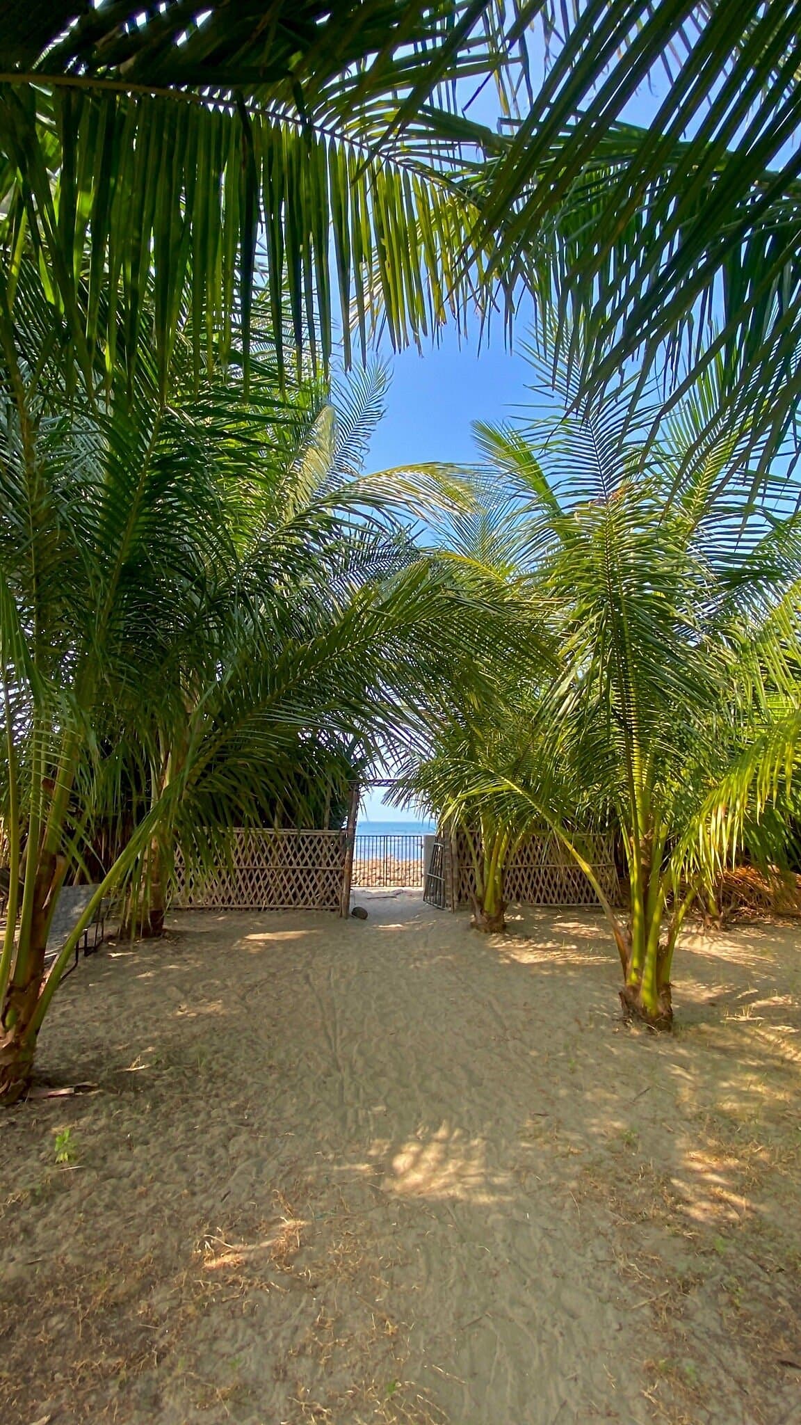Hotel Image 4742