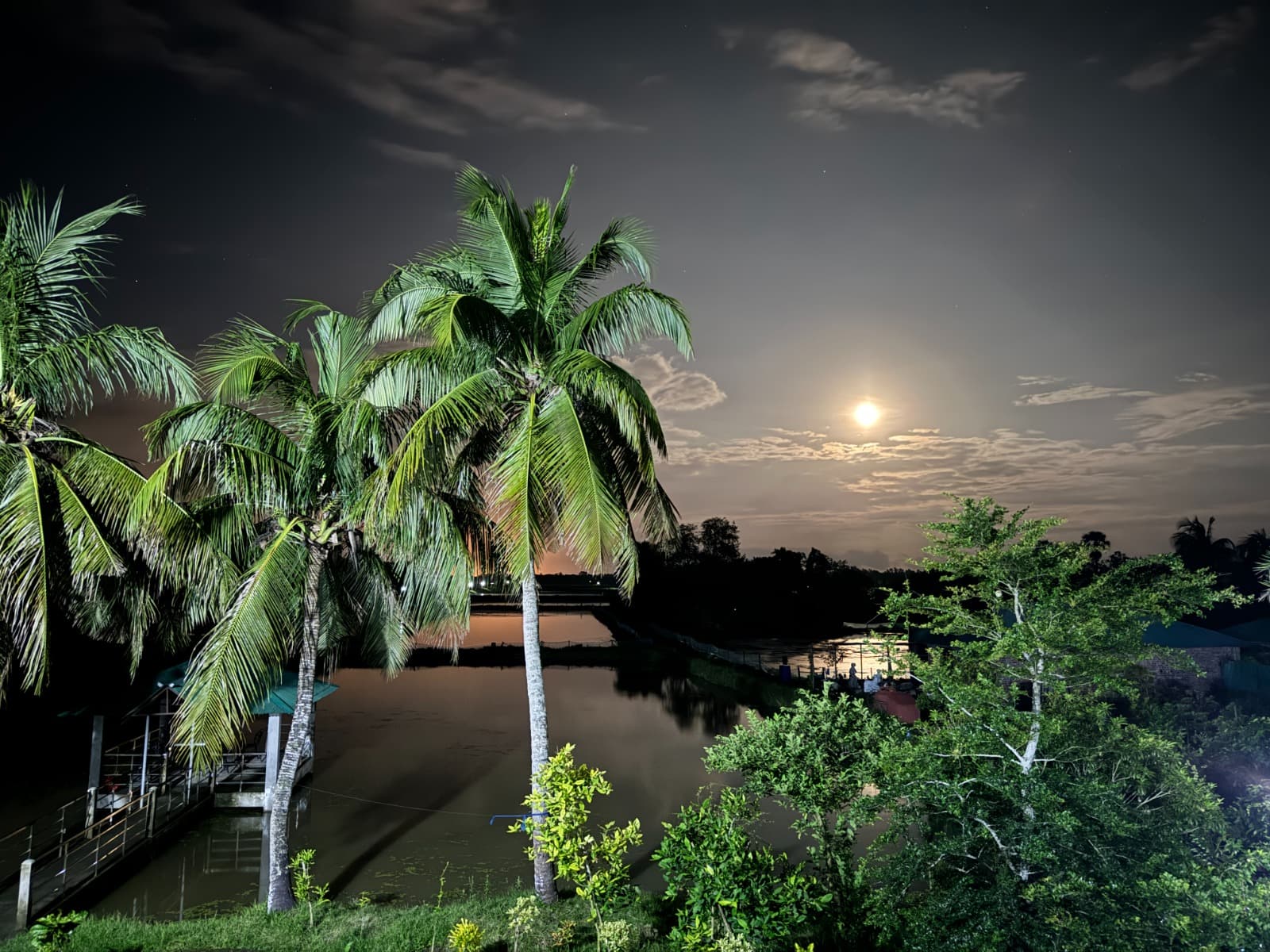 Hotel Image 5960