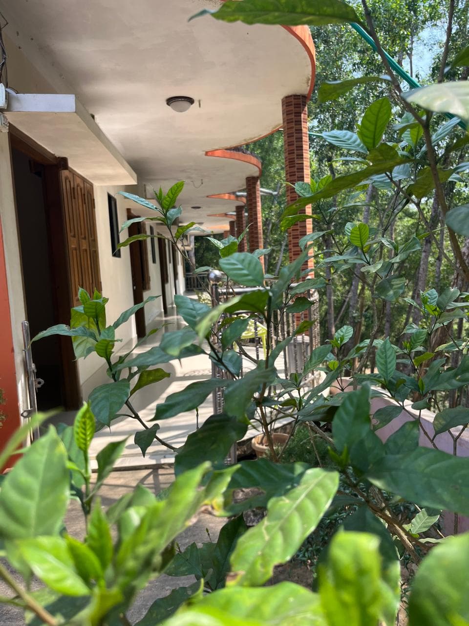 Hotel Image 6938