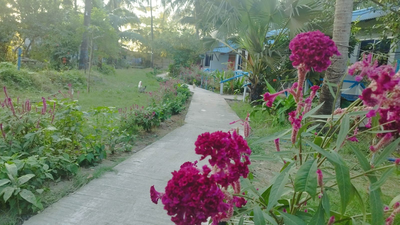 Hotel Image 6051