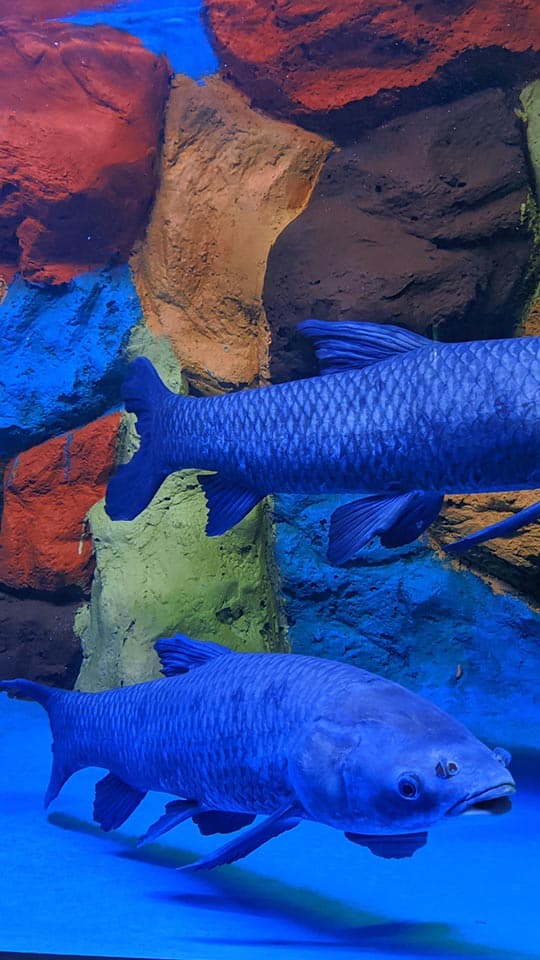 Property Image 4, Ship Image, BookMe Accommodation, Comfortable Stay, Affordable Prices.