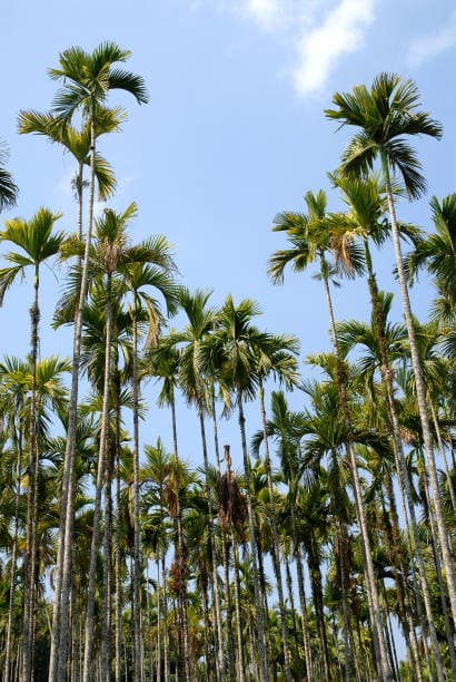 Property Image 10, Ship Image, BookMe Accommodation, Comfortable Stay, Affordable Prices.