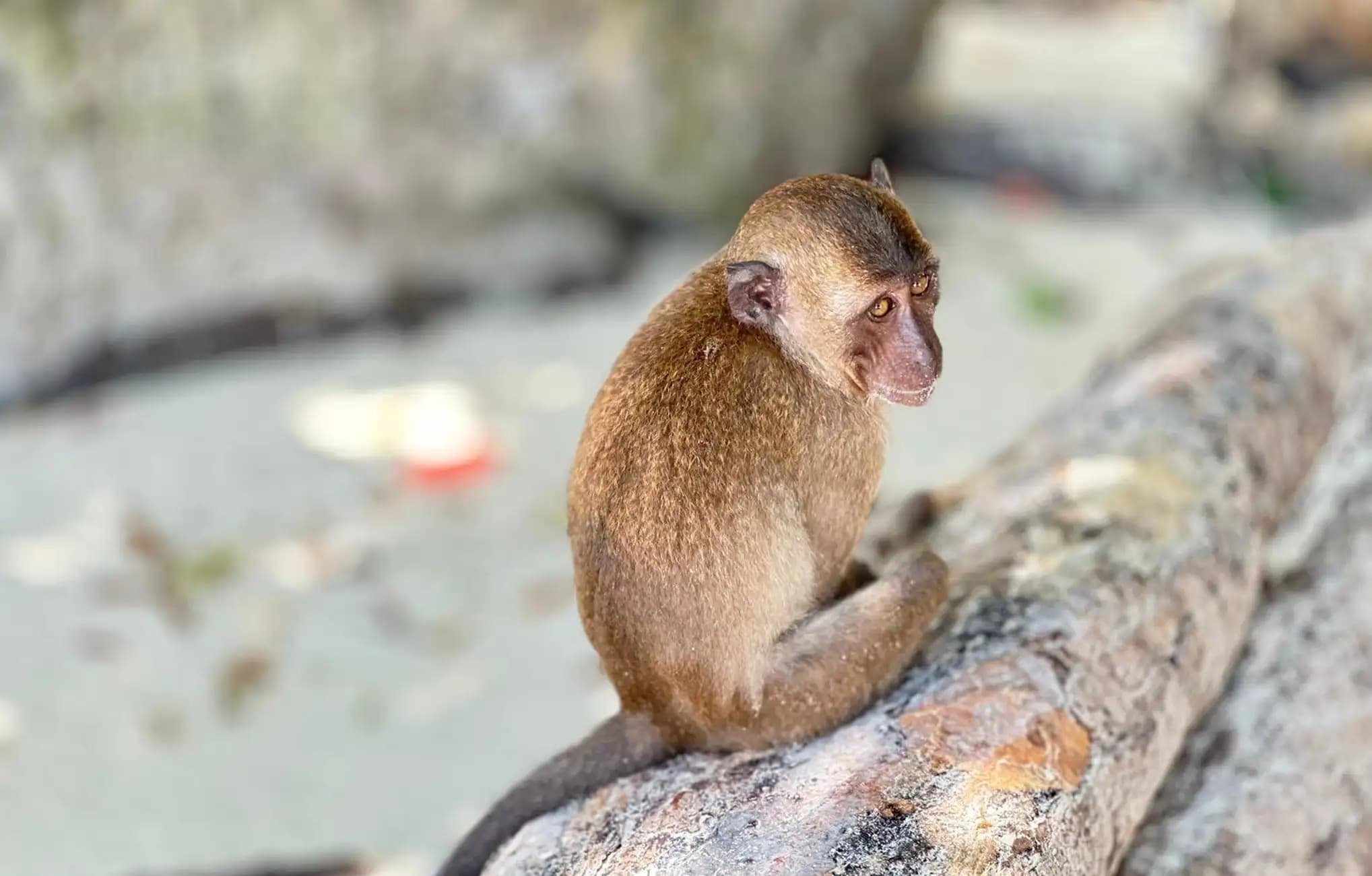 Property Image 14, Ship Image, BookMe Accommodation, Comfortable Stay, Affordable Prices.