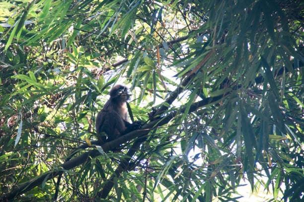 Property Image 2, Ship Image, BookMe Accommodation, Comfortable Stay, Affordable Prices.