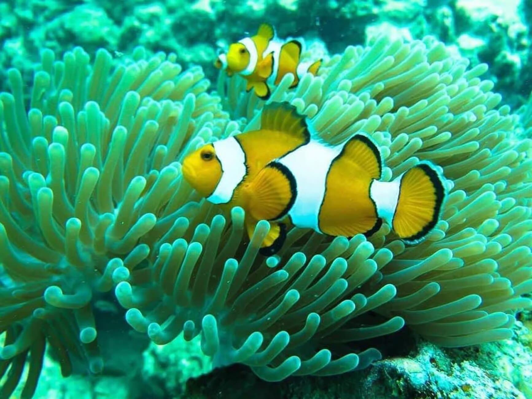 Property Image 3, Ship Image, BookMe Accommodation, Comfortable Stay, Affordable Prices.