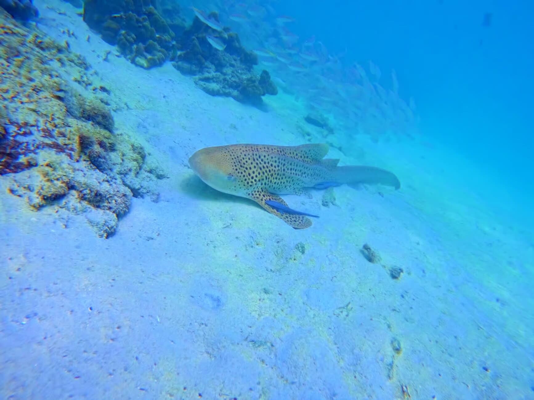 Property Image 7, Ship Image, BookMe Accommodation, Comfortable Stay, Affordable Prices.