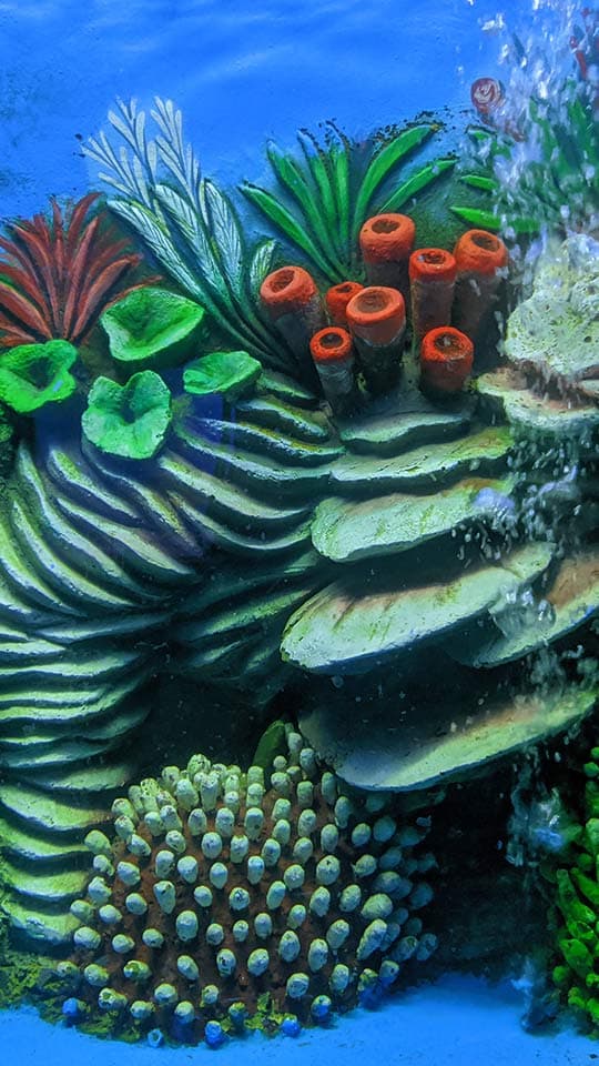 Property Image 6, Ship Image, BookMe Accommodation, Comfortable Stay, Affordable Prices.