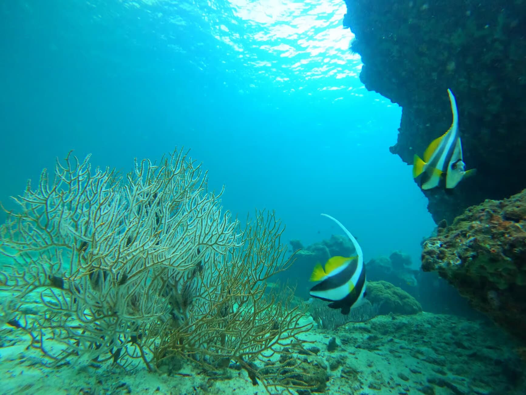 Property Image 8, Ship Image, BookMe Accommodation, Comfortable Stay, Affordable Prices.