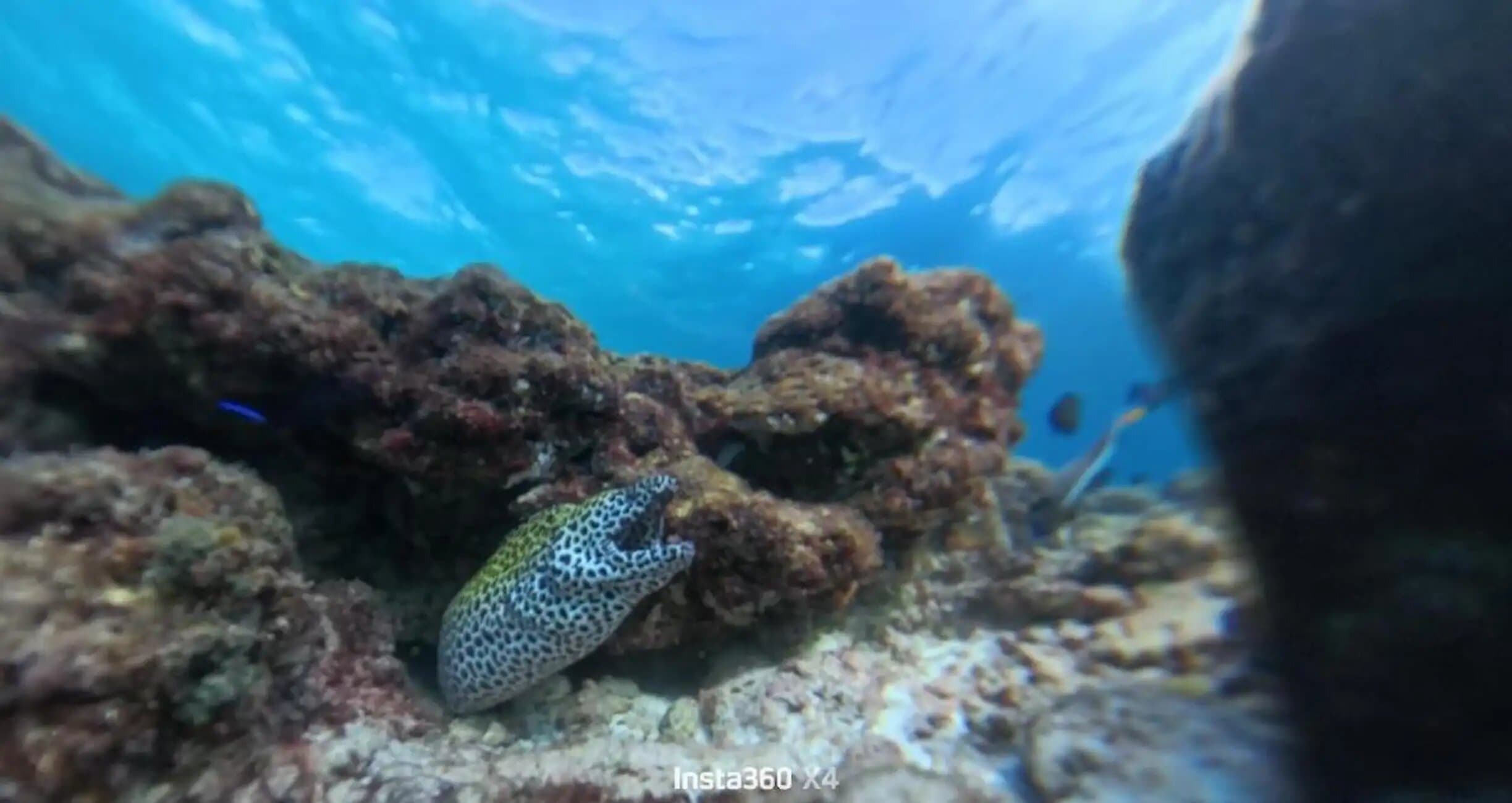 Property Image 14, Ship Image, BookMe Accommodation, Comfortable Stay, Affordable Prices.