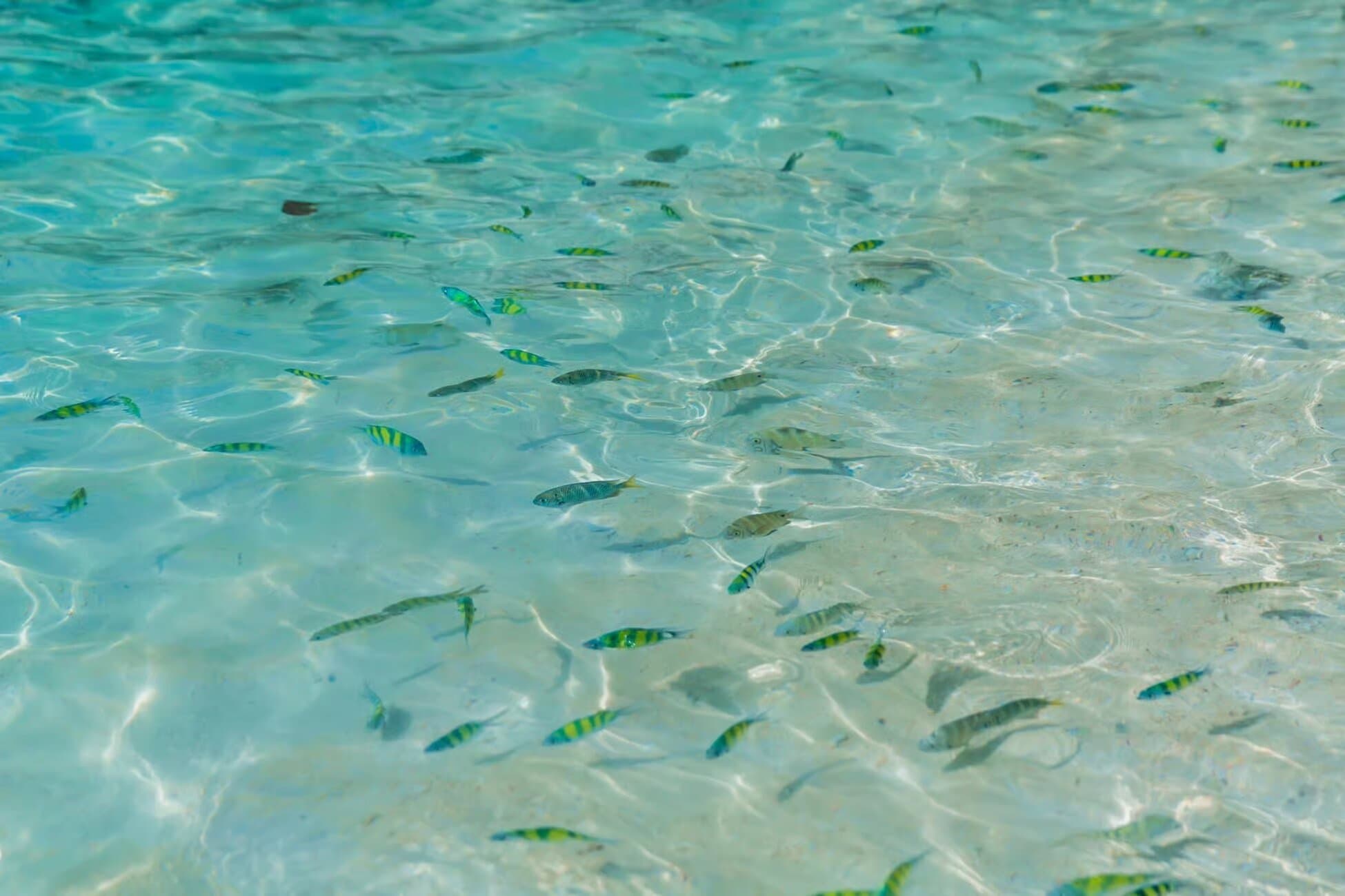 Property Image 5, Ship Image, BookMe Accommodation, Comfortable Stay, Affordable Prices.