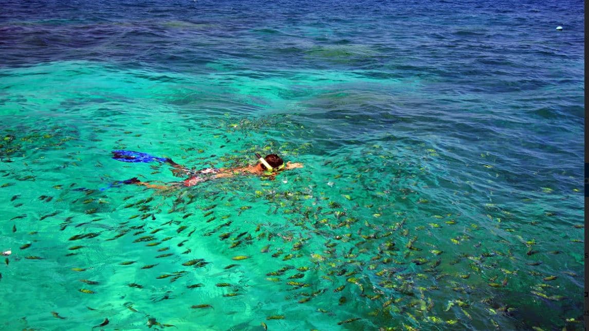 Image of Phuket/Khaolak: Similan Islands Early Bird Day Trip tour package, BookMe Tour Package, Travel with BookMe, Exciting Tour Packages Available, Affordable Prices.