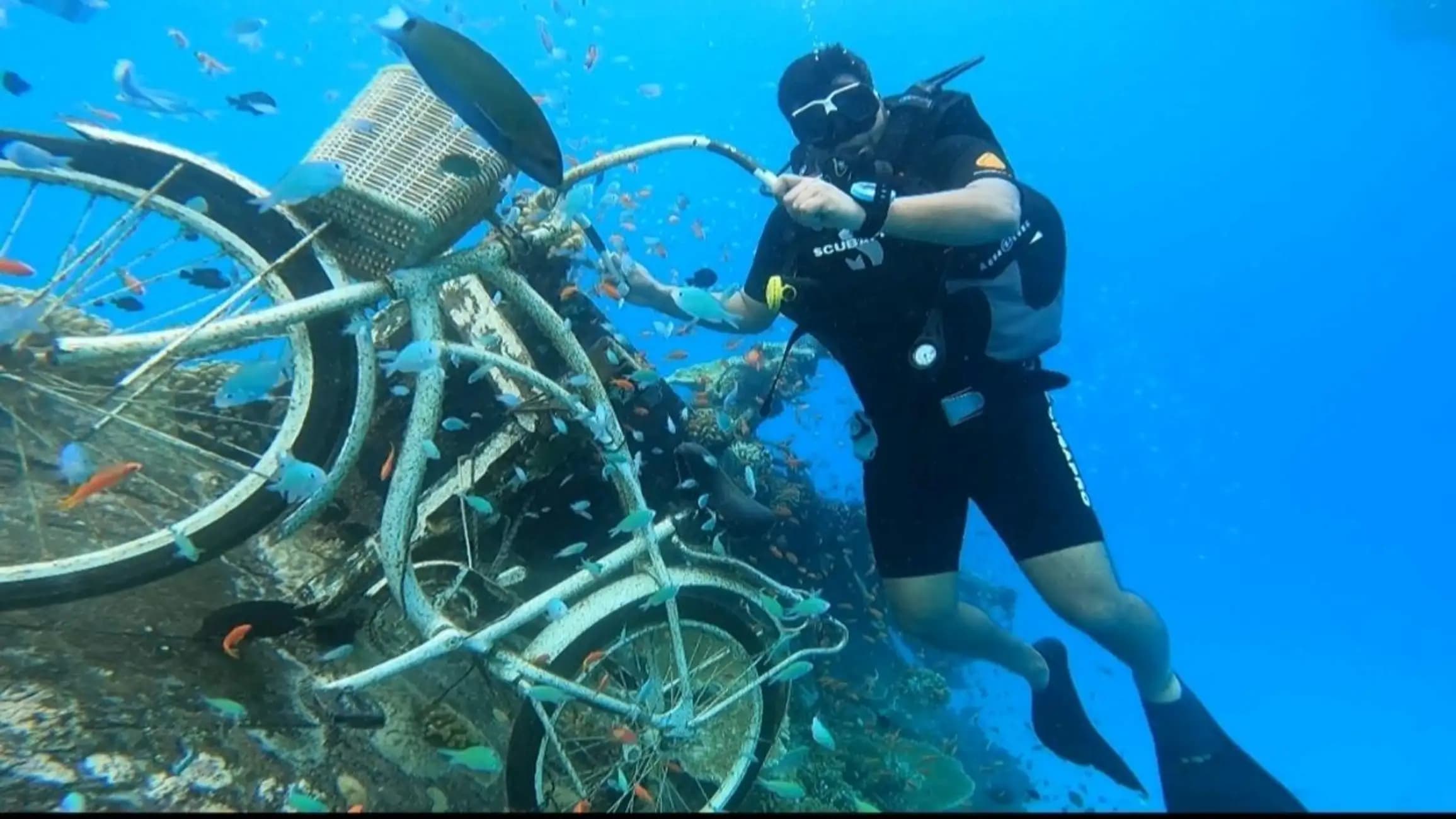 Image of Learn Diving in Maldives tour package, BookMe Tour Package, Travel with BookMe, Exciting Tour Packages Available, Affordable Prices.