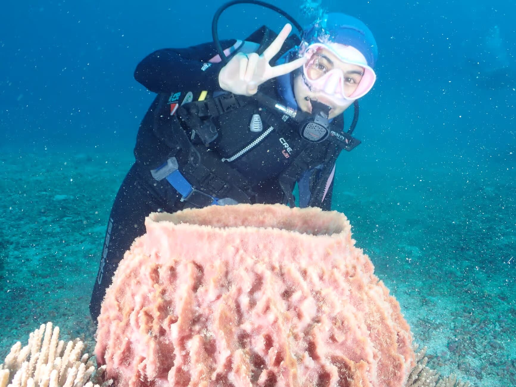 Image of Boracay: Introduction to Scuba Diving Experience tour package, BookMe Tour Package, Travel with BookMe, Exciting Tour Packages Available, Affordable Prices.
