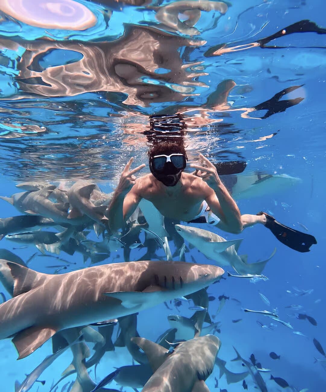 Image of Maafushi: Nurse Sharks, Stingrays, Sand Bank and Dolphins tour package, BookMe Tour Package, Travel with BookMe, Exciting Tour Packages Available, Affordable Prices.