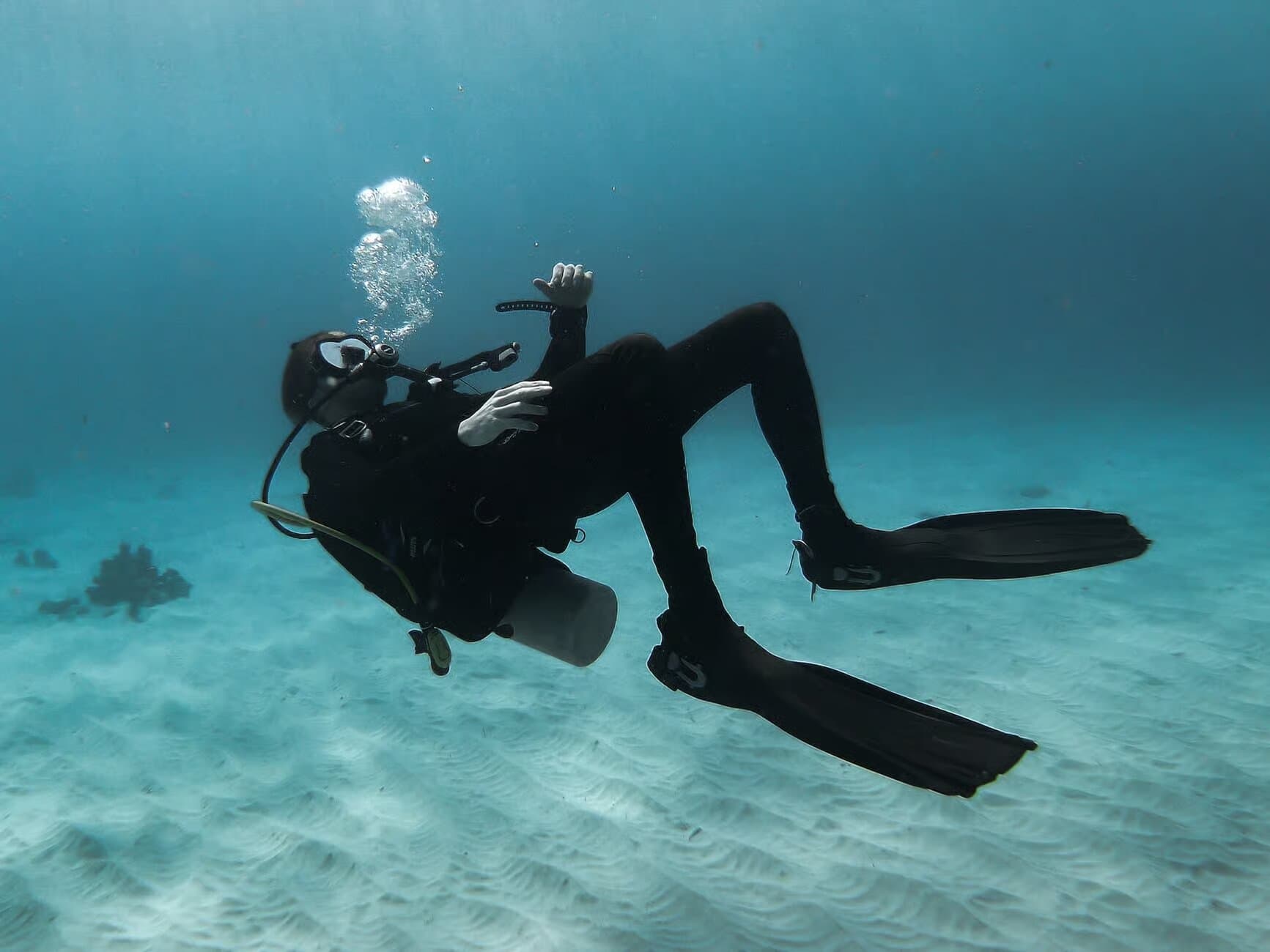 Image of Scuba Diving in Mirissa tour package, BookMe Tour Package, Travel with BookMe, Exciting Tour Packages Available, Affordable Prices.