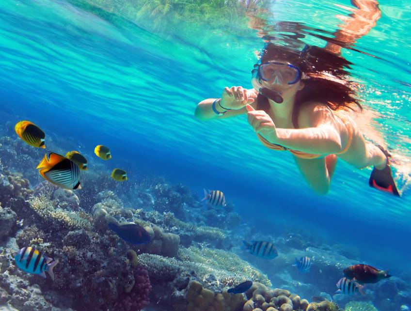 Khai Islands Snorkeling and Relaxation Tour