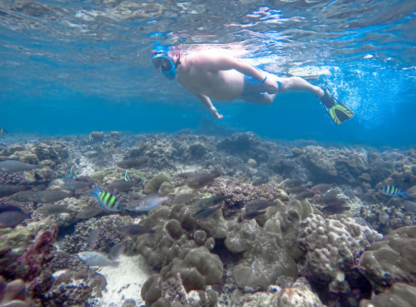 Phi Phi & Bamboo Islands: Premium Day Trip w/ Seaview Lunch