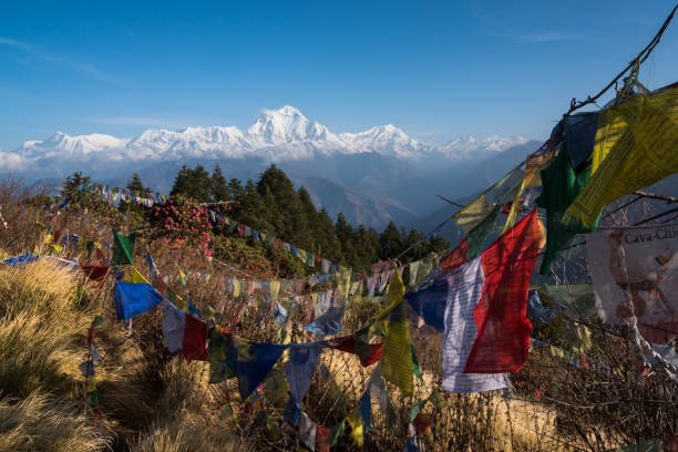 Ghorepani Poon Hill Trek