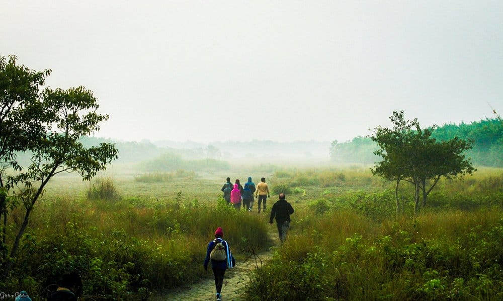Image of Luxury Cruise Ships in Sundarbans ship to Sundarbans, BookMe Cruise Tours, Mangrove Forest Adventure, Comfortable Wildlife Experience.