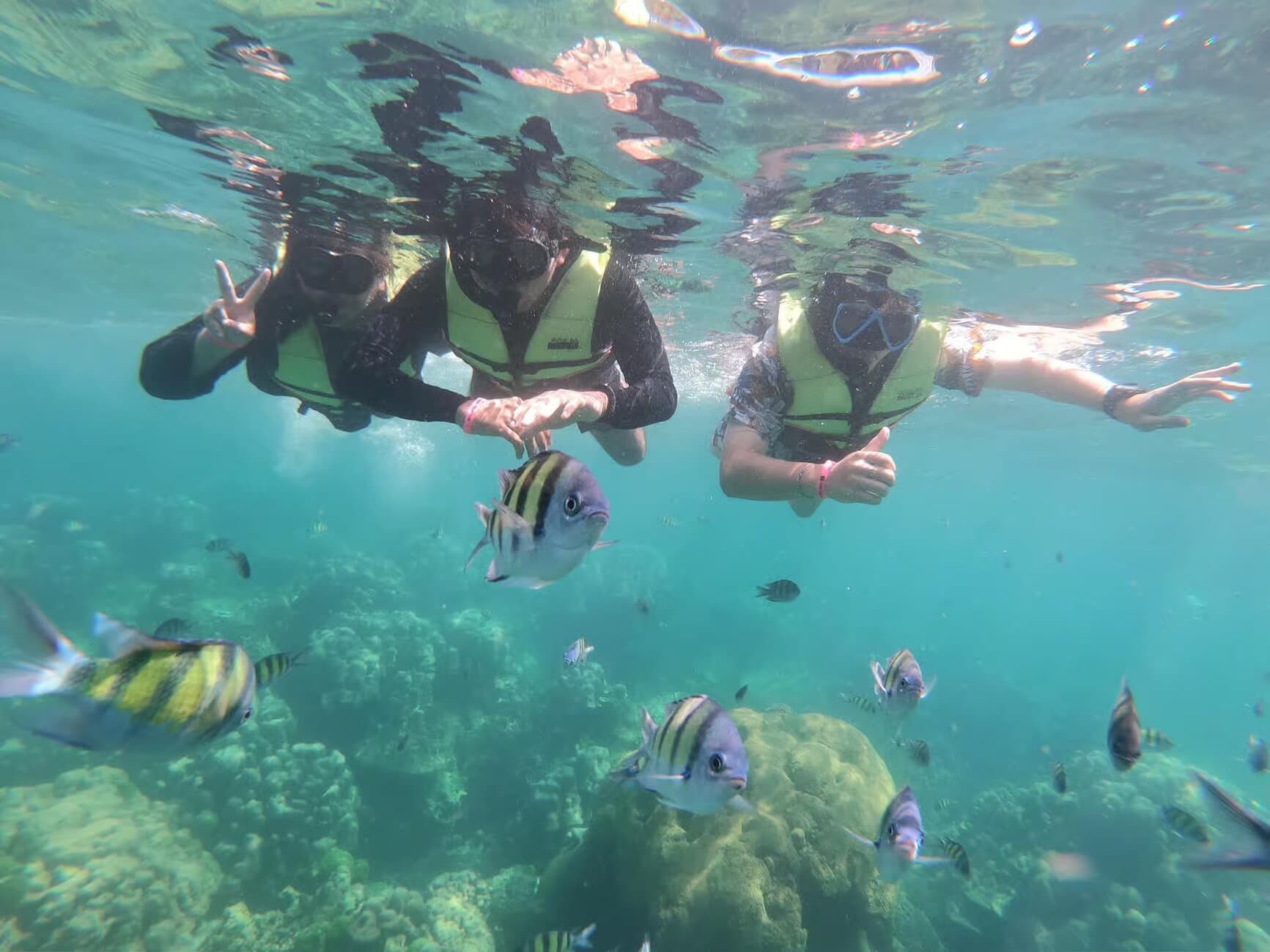 Image of Pickup location: Ko Lanta District, Itinerary Activity, Travel Experience, BookMe Tours.