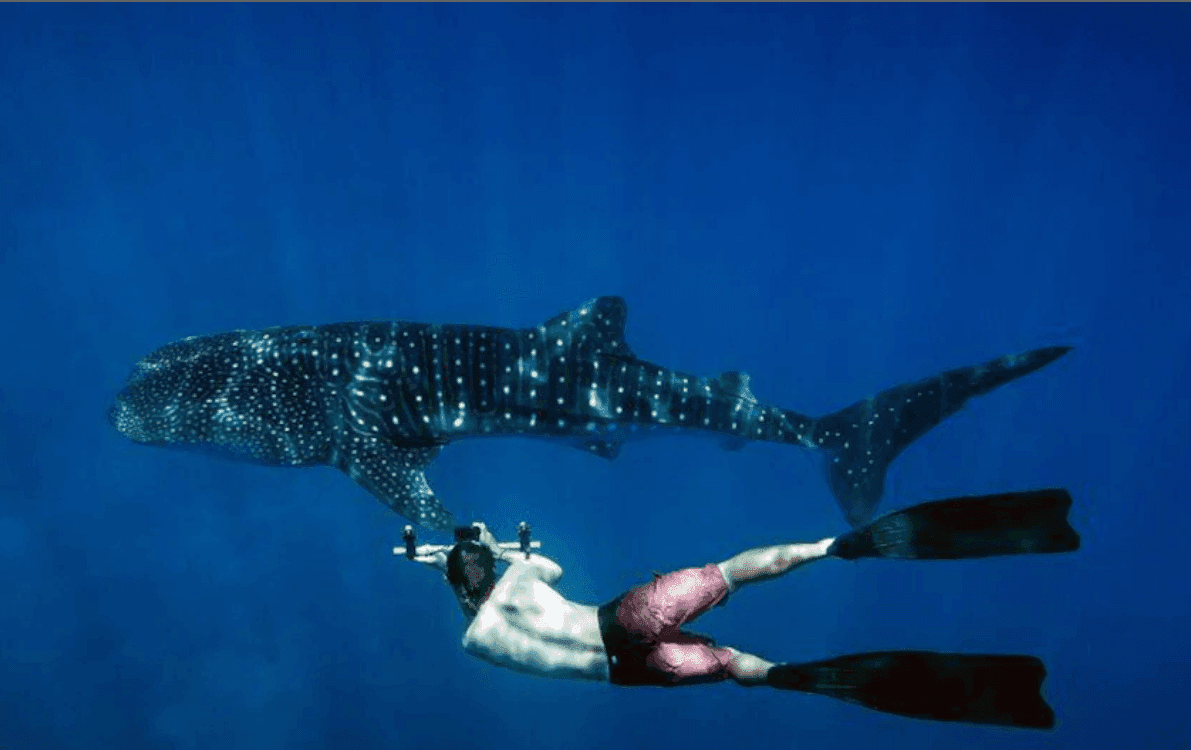 Image of Check-out from Resort, Itinerary Activity, Travel Experience, BookMe Tours.