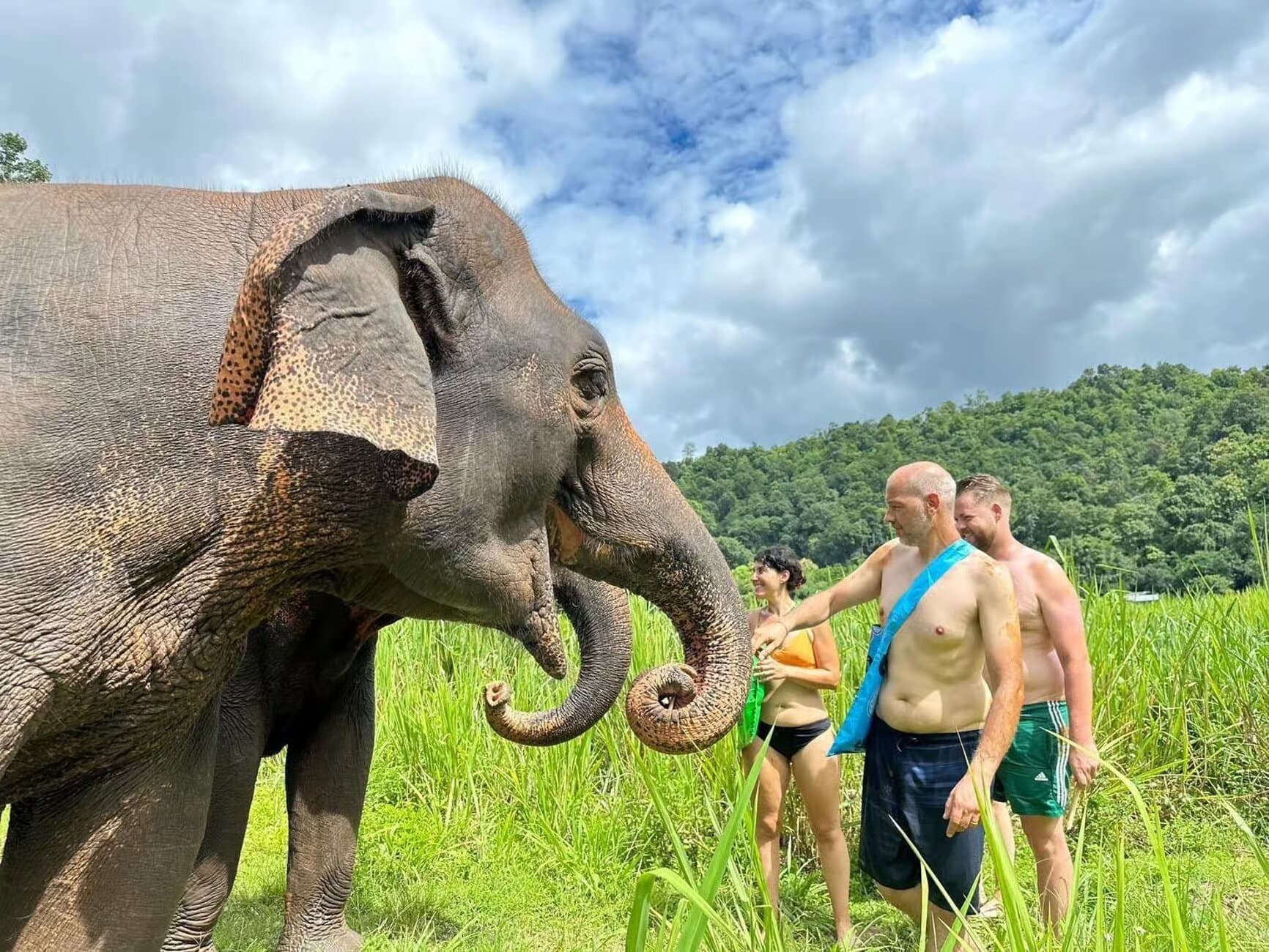 Image of Chiang Mai: Elephant Sanctuary, Waterfall & Bamboo Rafting tour package, BookMe Tour Package, Travel with BookMe, Exciting Tour Packages Available, Affordable Prices.
