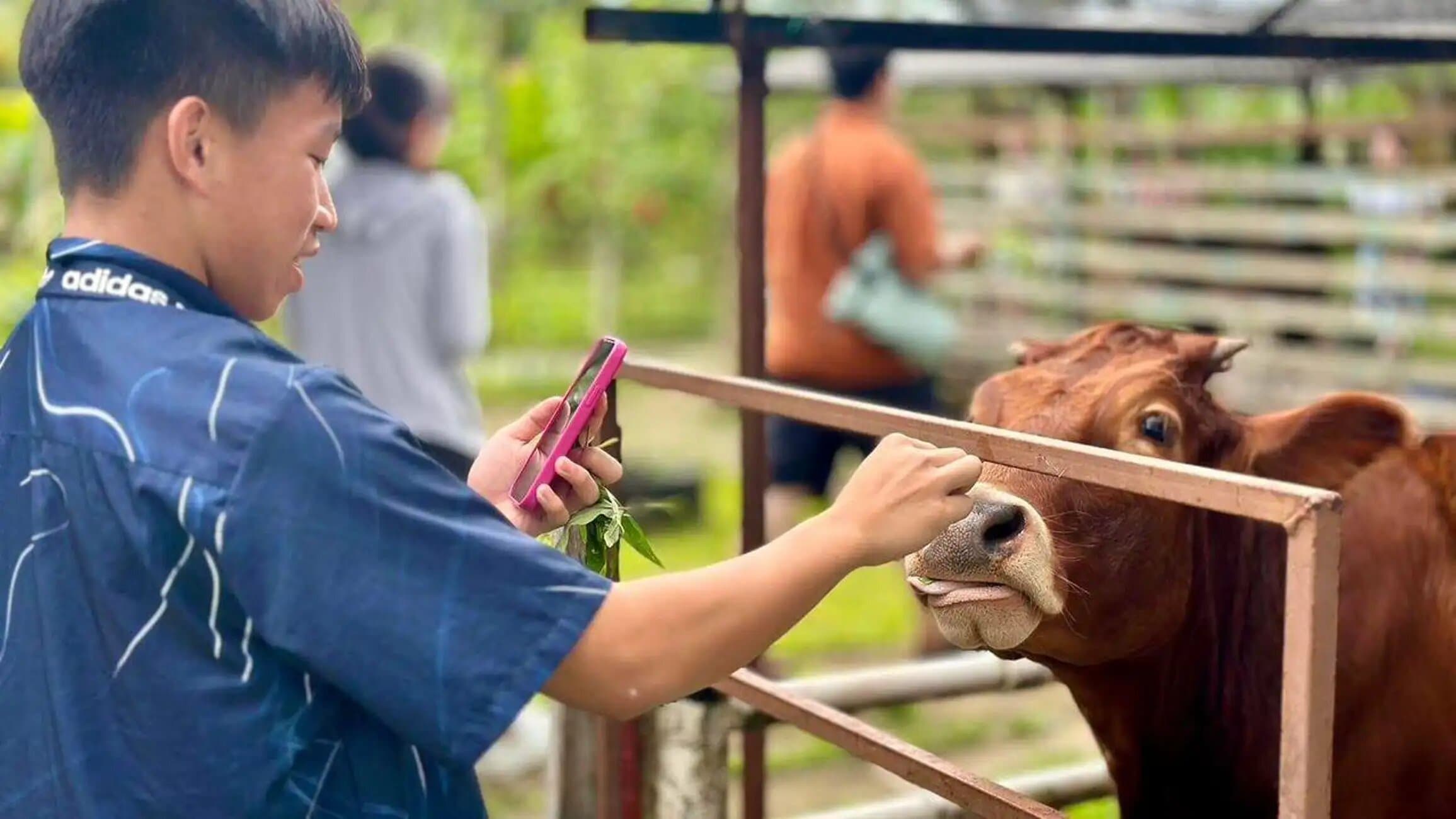 Image of Penang: Balik Pulau Batik Painting & Mini Zoo Petting tour package, BookMe Tour Package, Travel with BookMe, Exciting Tour Packages Available, Affordable Prices.