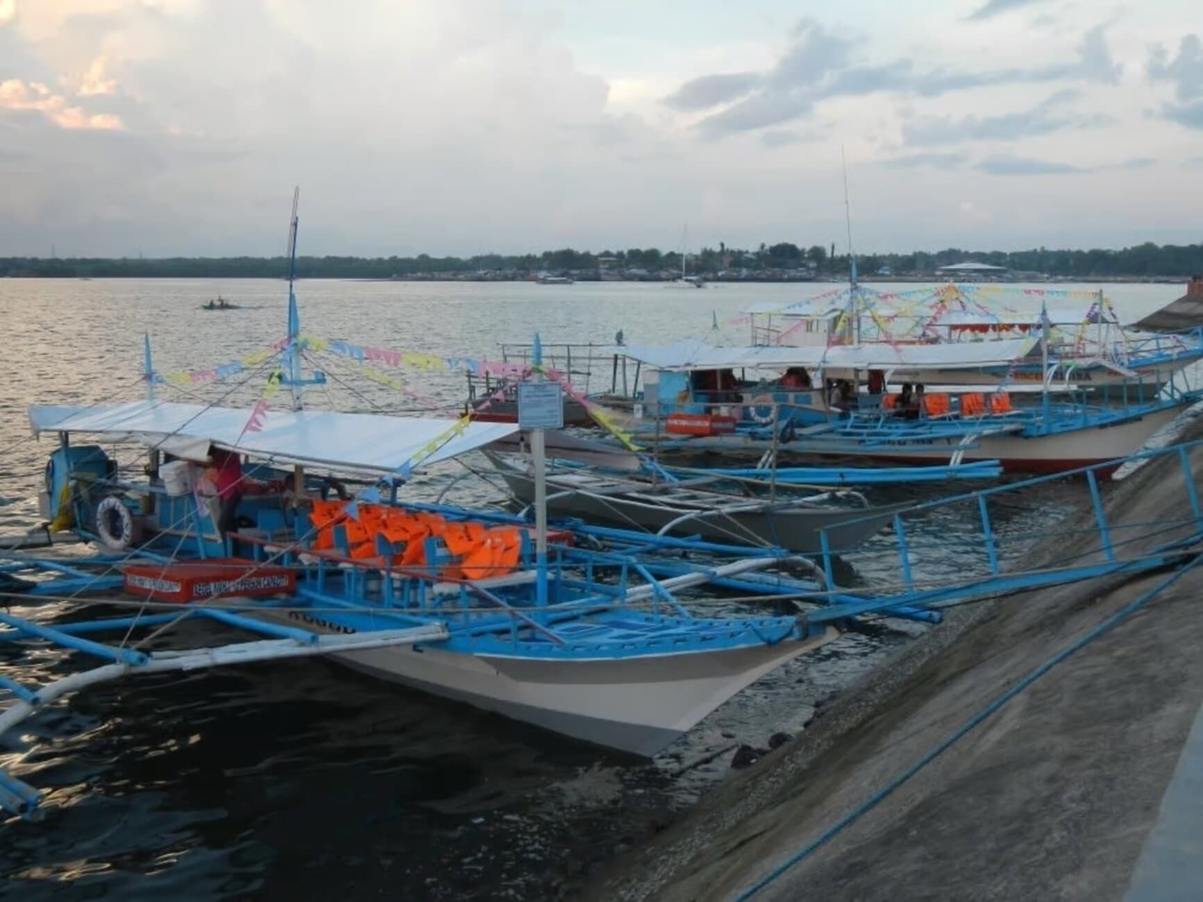 Image of Puerto Princesa: Firefly Watching Bay Cruise with Dinner tour package, BookMe Tour Package, Travel with BookMe, Exciting Tour Packages Available, Affordable Prices.