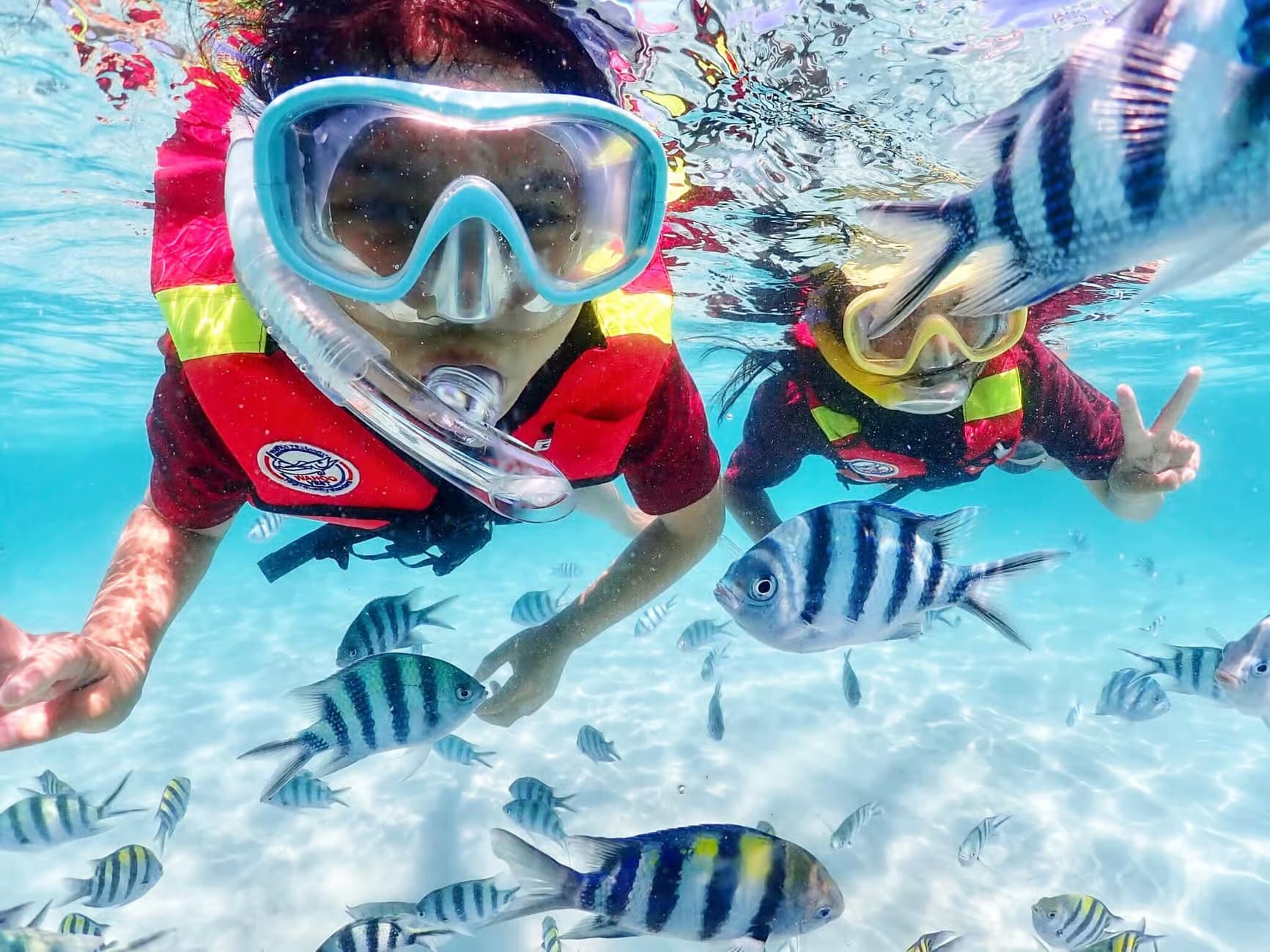 Image of Snorkel & Chill: Nemo Island Trip from Pattaya tour package, BookMe Tour Package, Travel with BookMe, Exciting Tour Packages Available, Affordable Prices.
