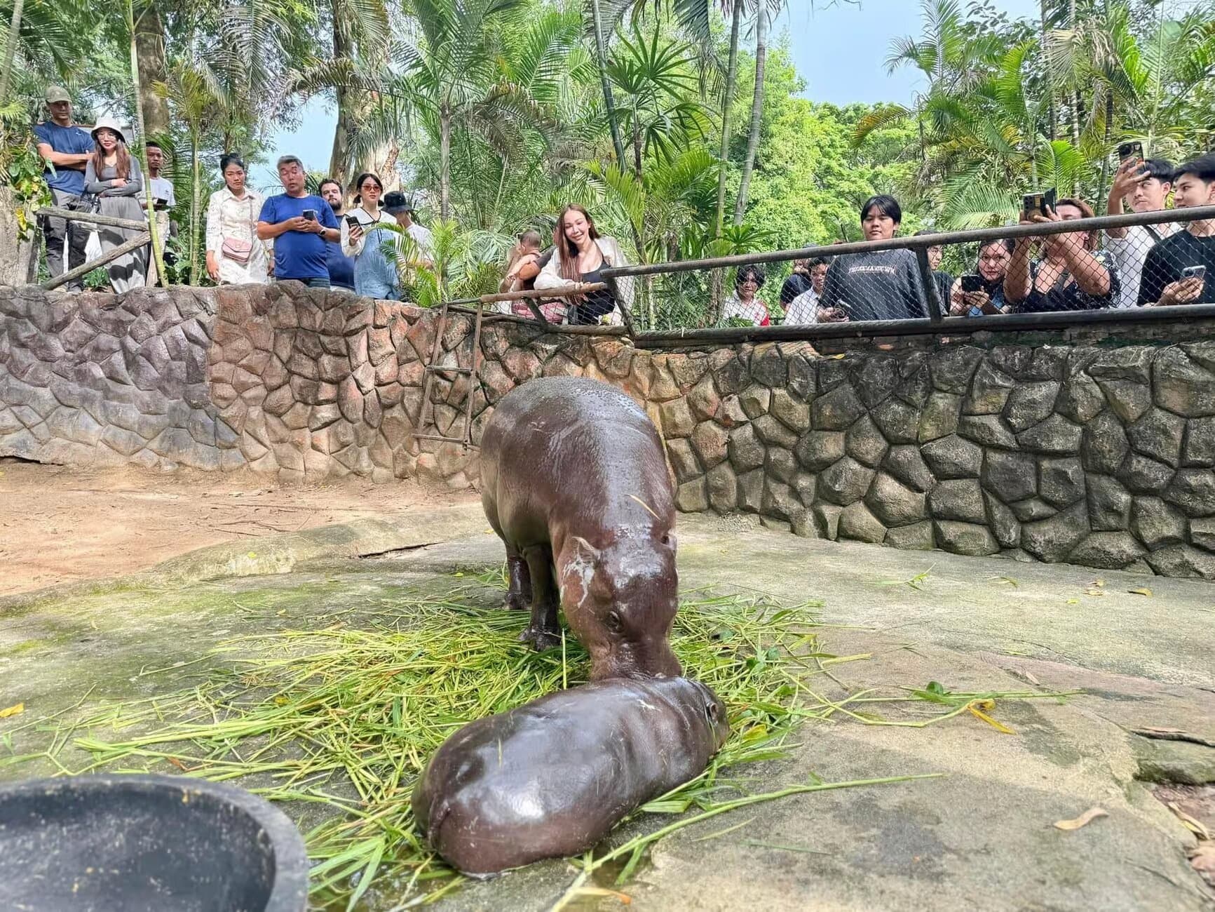 Image of Pattaya: Khao Kheow Zoo & J-Park Japanese Village Day Trip tour package, BookMe Tour Package, Travel with BookMe, Exciting Tour Packages Available, Affordable Prices.