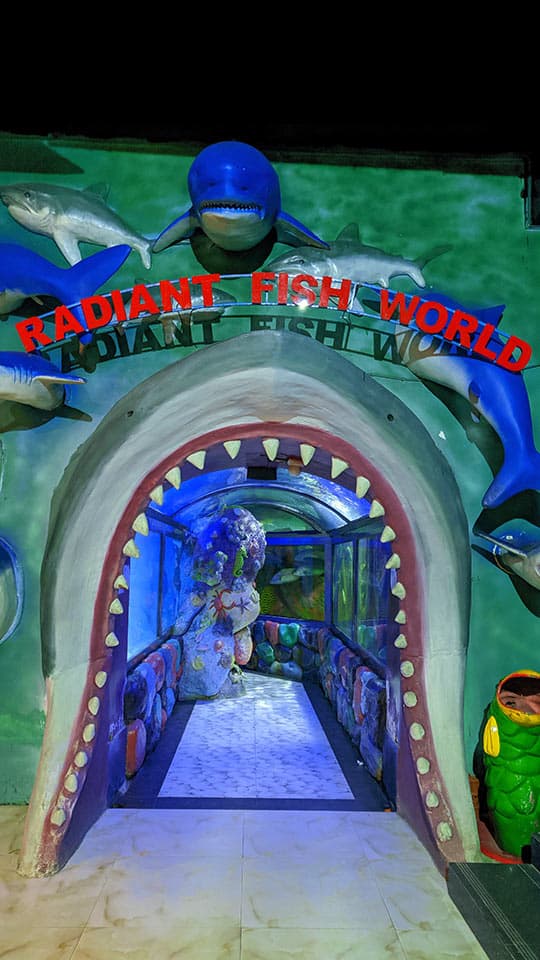 Image of Radiant Fish World tour package, BookMe Tour Package, Travel with BookMe, Exciting Tour Packages Available, Affordable Prices.