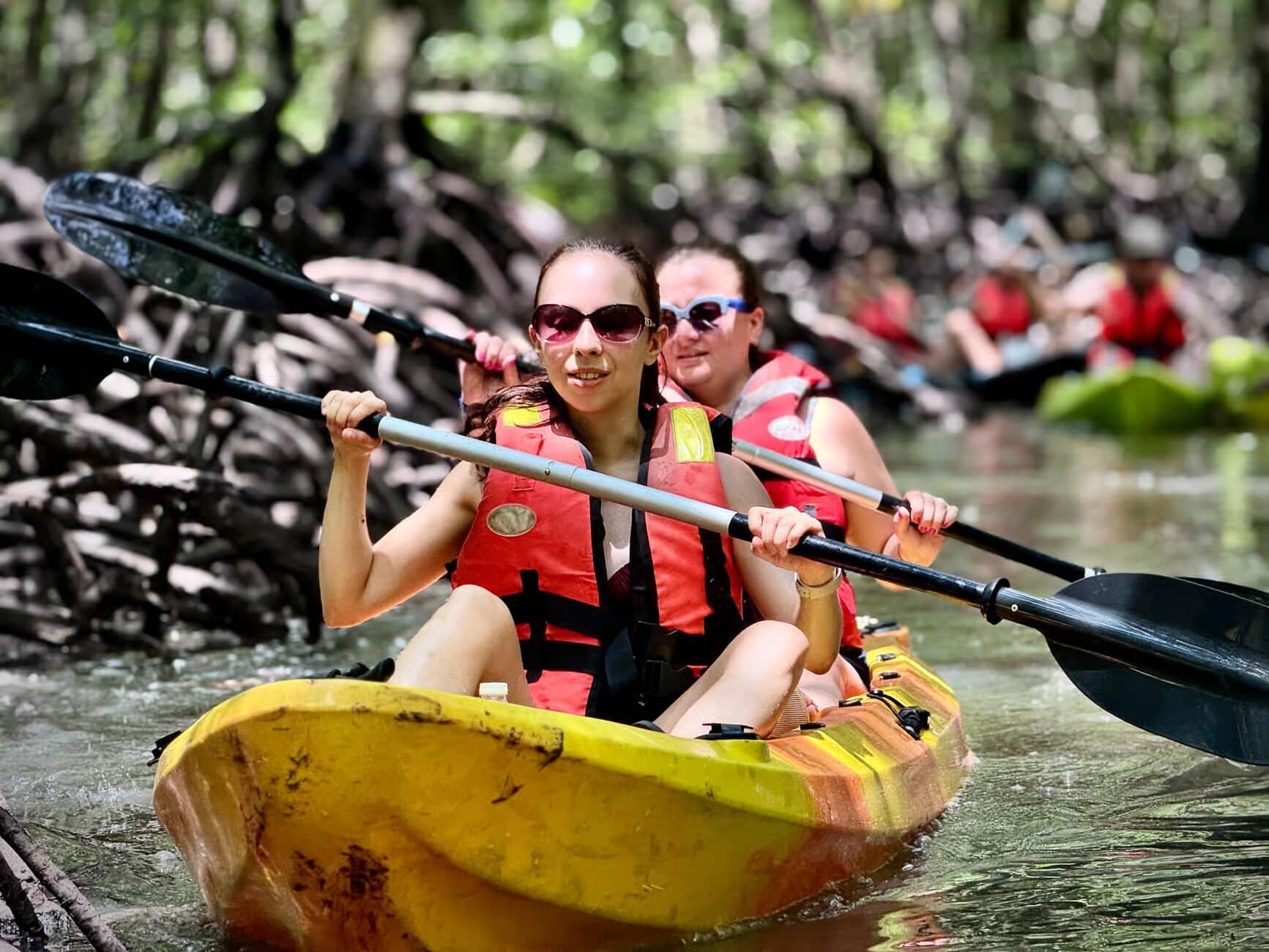 Image of Langkawi: Mangrove Kayaking tour package, BookMe Tour Package, Travel with BookMe, Exciting Tour Packages Available, Affordable Prices.